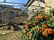 Monte Ubione (875 m) e Corna Marcia (1033 m) da Sopracorna di Ubiale - 3marzo22  - FOTOGALLERY